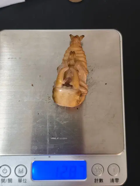 general_log
